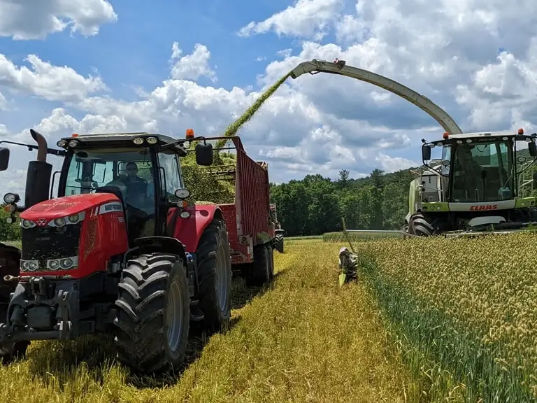 Farm Solutions does forage harvesting for farming operations
